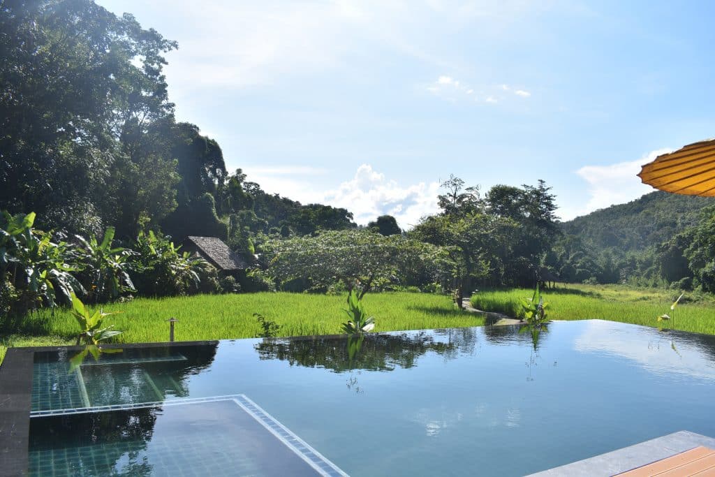 View across a swimming pool and rice fields