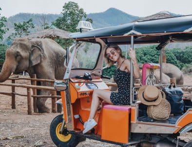Young woman sitting in a Tuk Tuk in front of elephants