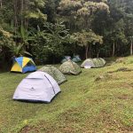 Tents set up on the edge of the forest in Thailand